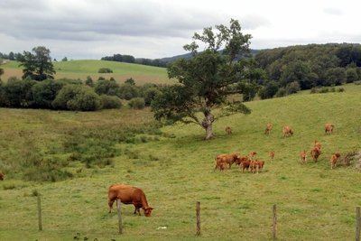 Les Vestiges Gallo-Romains des Mazières