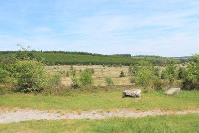 Le sentier des Bruyères
