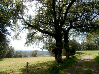 Circuit des Grammonts