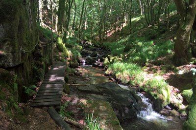 La cascade de la Tine