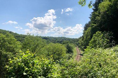 Les gorges de la Vienne