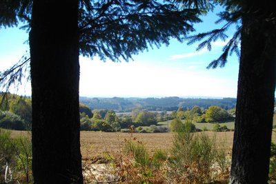 Les Templiers