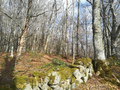 Sentier découverte ONF