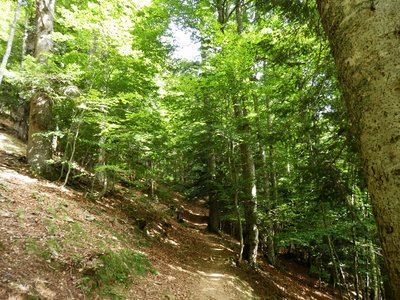 La cabane de Chérue