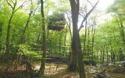 Bois de Coarraze