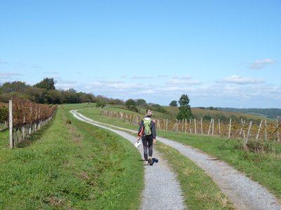 Conchez-de-Béarn : entre architecture et vignoble