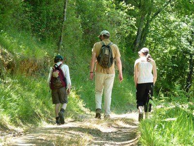 Auga : vallée du Luy de France