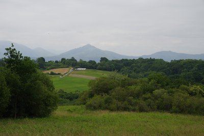 Bizkarrandi