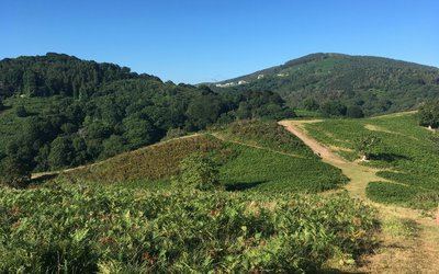 Sentier des mulets / Mandobidexka - Trail