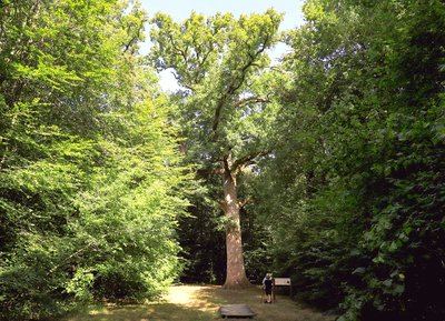 01 Légende de St Ortaire et Hippolyte - Station de Trail® Bagnoles Normandie
