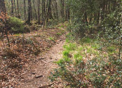 02 Ermitage - Station de Trail® Bagnoles Normandie