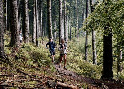 03 Le Verdier d'Ecouves - Station de Trail® Massif d'Ecouves