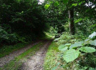 Les Monts - Randonnée à pied