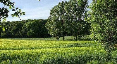 Autour du bois de Saint Georges - Randonnée à pied dans le Perche