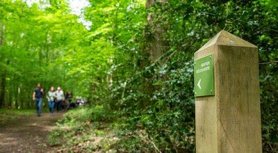 Sentier d'interprétation en forêt de Bourse