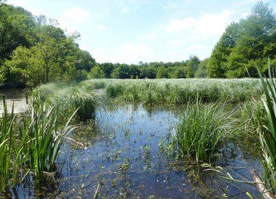Sentier de l'Etang du Perron