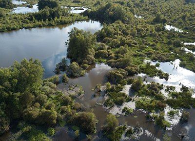 Sentier du Breuil au Marais du Grand-Hazé