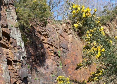 Sentier Les Méandres de l'Orne : La carrière