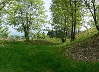 Sentier Sainte Eugénie