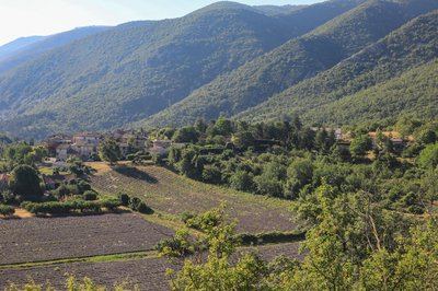 AURIBEAU - Mourre Nègre et biodiversité en chemin