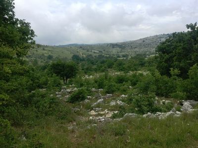 VENCE - Plan des Noves