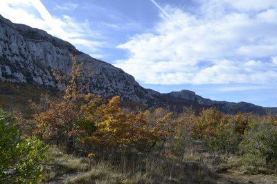 PLAN D'AUPS SAINTE-BAUME - Du sentier Merveilleux à l'oratoire de Miette
