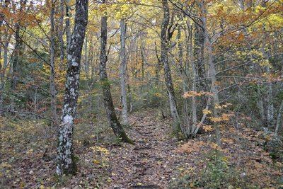 PLAN D'AUPS SAINTE-BAUME - Le sentier Merveilleux