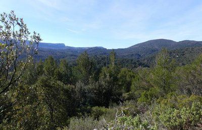 SAINT-ZACHARIE - La forêt du Défens par le pas de Peyruis
