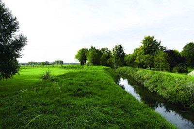 Les Ecoliers