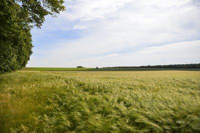 GRP Tour du Ternois Nord