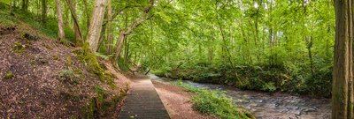 Sentier de la Lawe