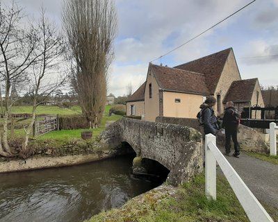 Les douves du Grand Cumont
