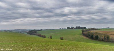 Panoramas