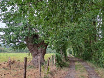 Autour du Bois de Saint-Georges