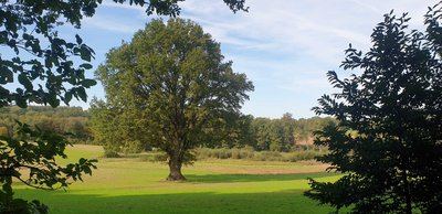 Le Buisson