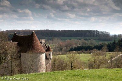 Le domaine de Courboyer