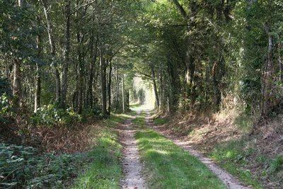 Les abbayes du Loir