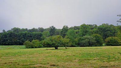 Promenade le long de l'Yerre