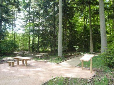 Le sentier de l'Orée du bois