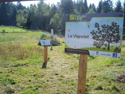 La Tourbière des Vernels Planfoy n°3