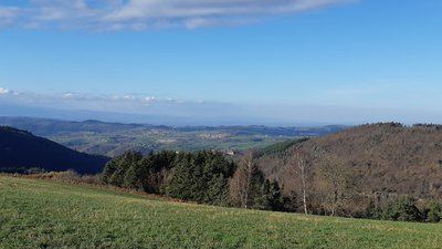 Par Bois et Barlans - Le Chambon-Feugerolles n°3
