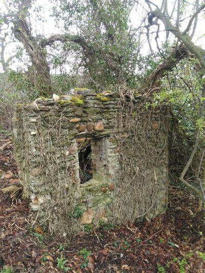 Le Bataillard Saint-Romain-en-Gal n°2