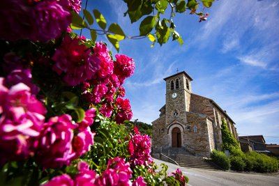 Fongiraud - St Chamond n°1
