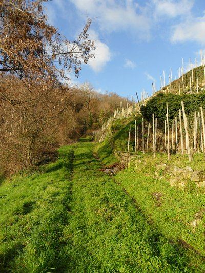 Le Plateau - Petite boucle - Saint-Michel n°2