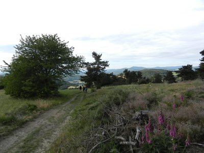 Le Panorama du Lacat - Colombier n° 2