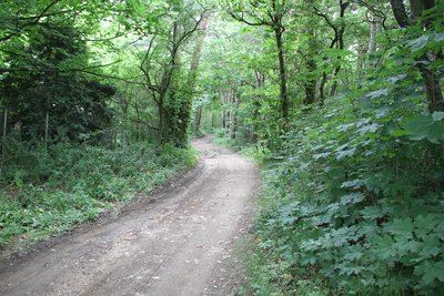 Les coteaux du Gier - Echalas n° 2