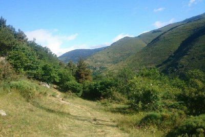 A la rencontre des cervidés (PR15)