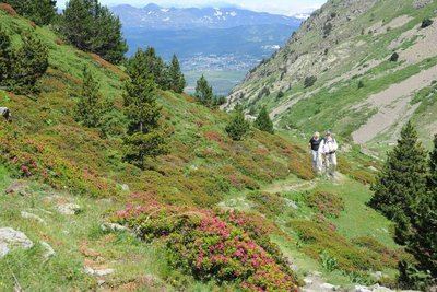 Réserve Naturelle de la Vallée d'Eyne (PR17)