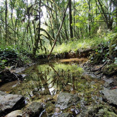 La Vallée de la Benaize, entre Poitou et Brenne