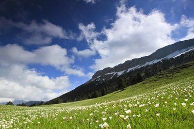 Le vallon de Combeau